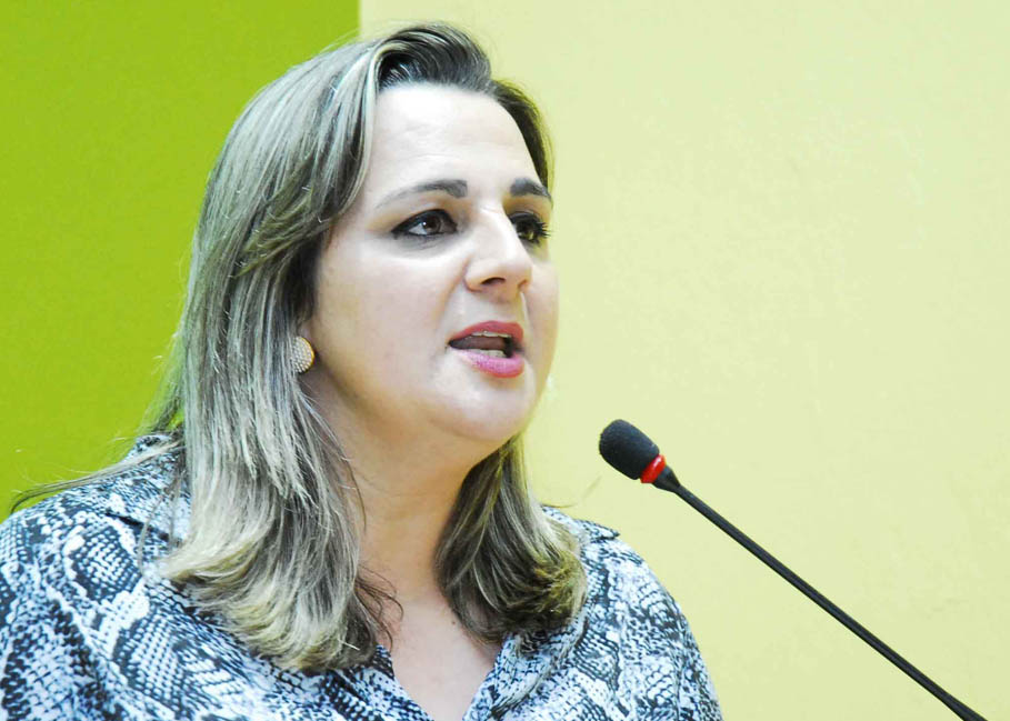 Projeto permite que idosos sejam vereadores 