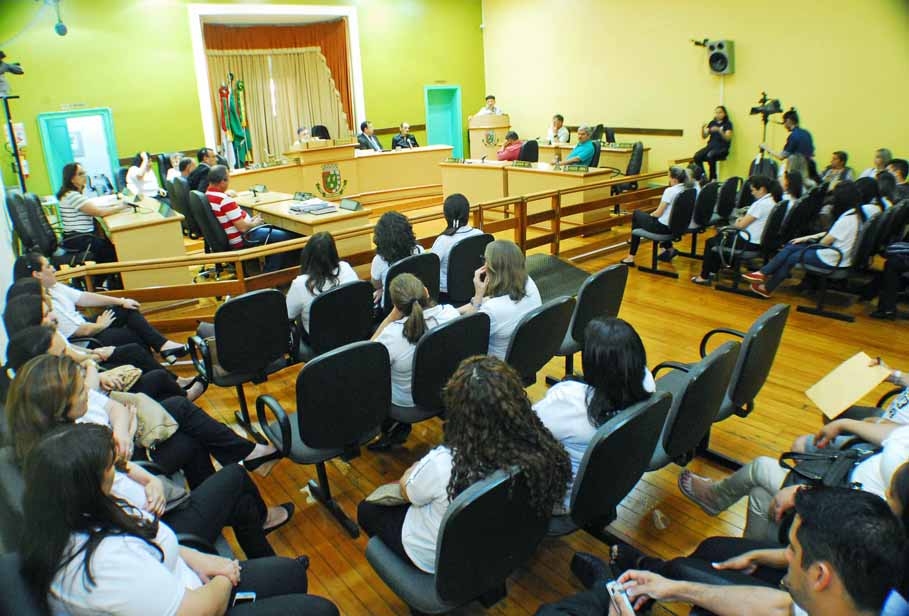 APAE Santo Ângelo completa 45 anos e é homenageada pelo Poder  Legislativo Municipal 