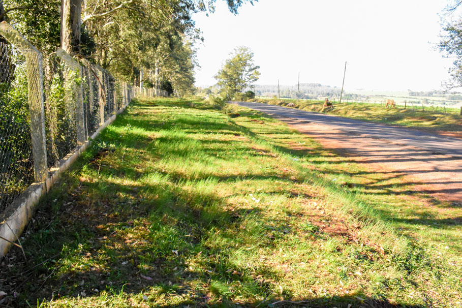 Presidente da Câmara, Adolar Queiroz, propõe construção de via lateral em parte da ERS 218 