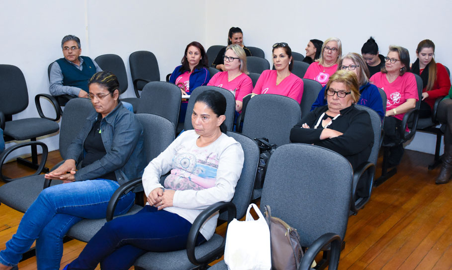 Liga Feminina de Combate ao Câncer participa de Sessão Ordinária na câmara de Vereadores de Santo Ângelo