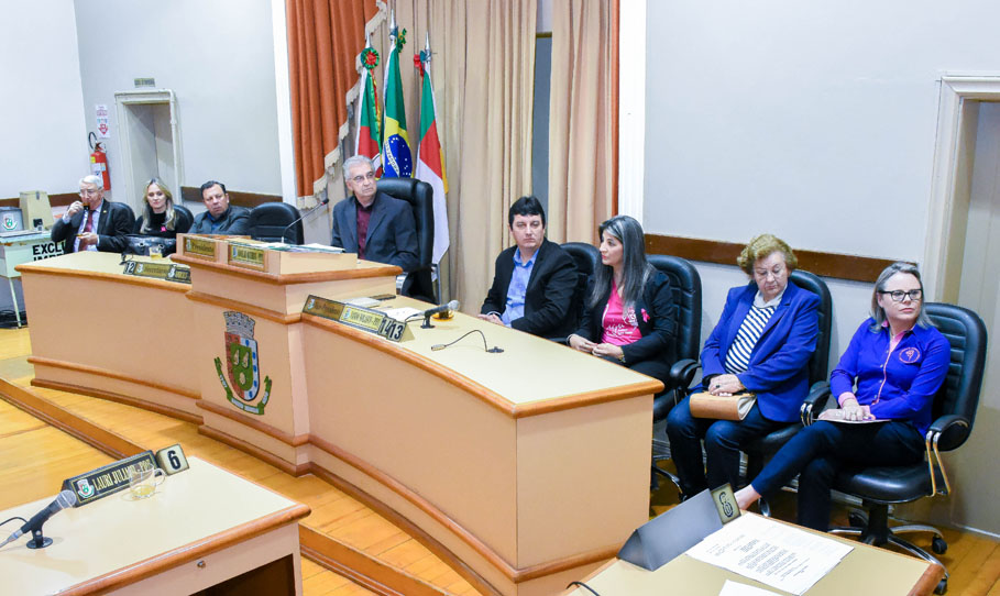 Poder Legislativo presta homenagem à Liga Feminina de Combate ao Câncer de Santo Ângelo 