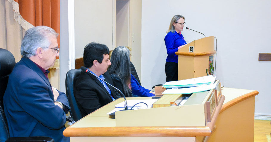 Poder Legislativo presta homenagem à Liga Feminina de Combate ao Câncer de Santo Ângelo 