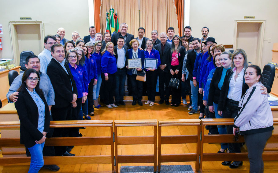 Poder Legislativo presta homenagem à Liga Feminina de Combate ao Câncer de Santo Ângelo 