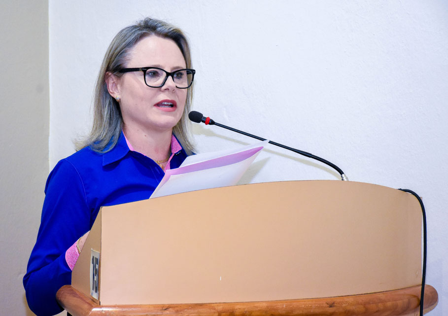 Poder Legislativo presta homenagem à Liga Feminina de Combate ao Câncer de Santo Ângelo 