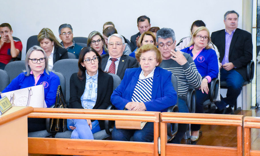 Poder Legislativo presta homenagem à Liga Feminina de Combate ao Câncer de Santo Ângelo 