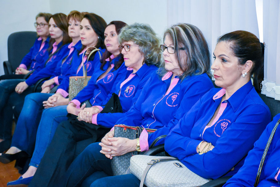 Poder Legislativo presta homenagem à Liga Feminina de Combate ao Câncer de Santo Ângelo 