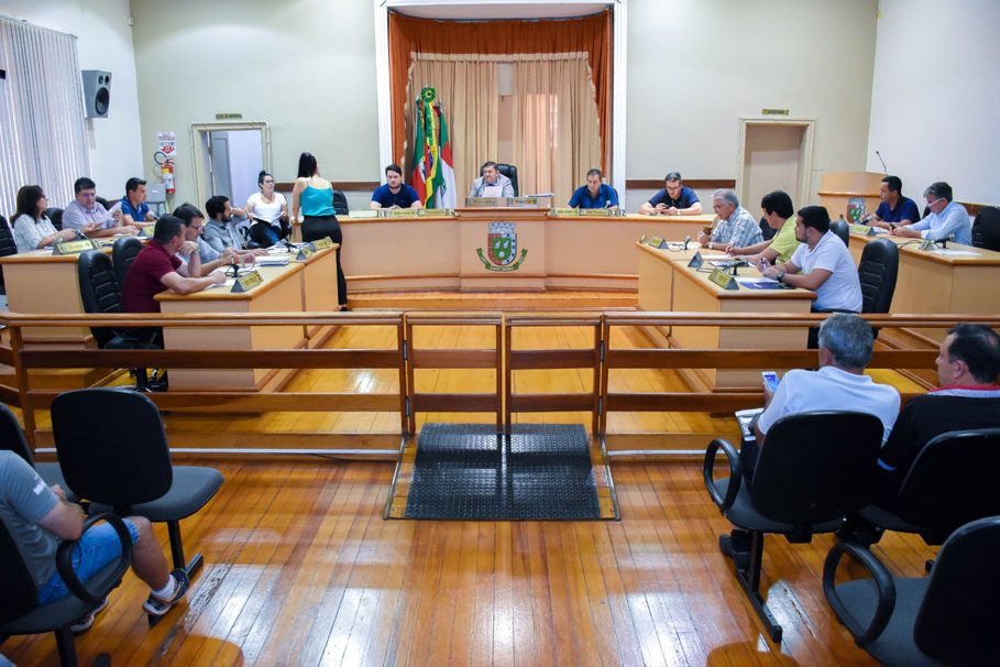 Primeira sessão do ano tem aprovação de requerimentos, indicação de líderes e homologação das Comissões Permanentes para 2018