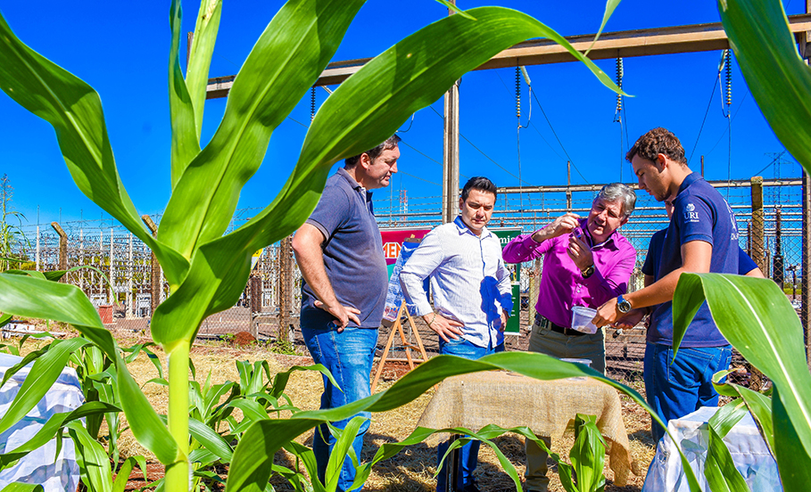 Dia de Campo movimenta Fenamilho Internacional