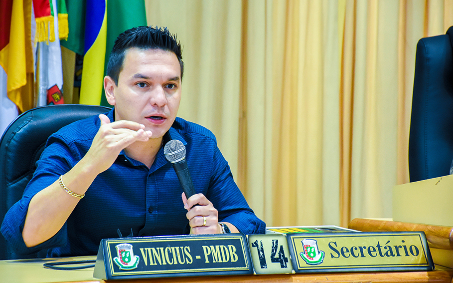 Audiência Pública debate causa dos pequenos animais em Santo Ângelo