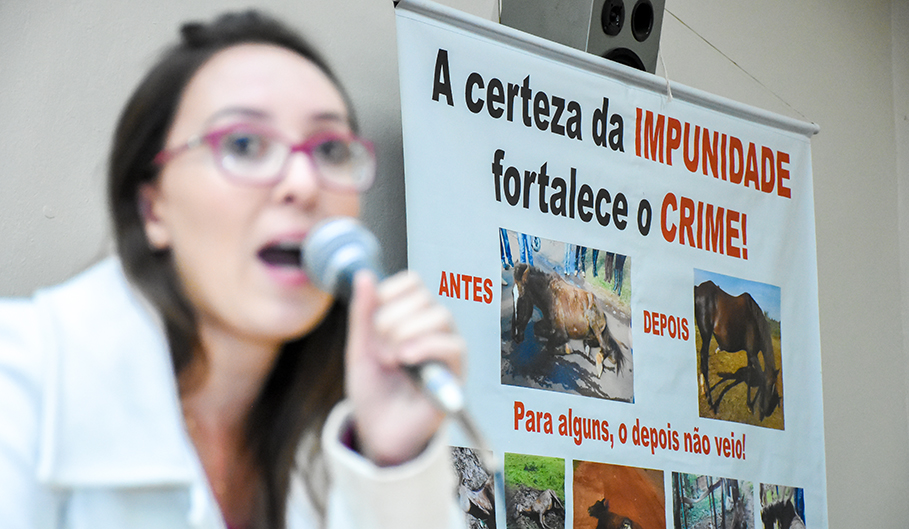 Audiência Pública debate maus tratos a animais em veículos de tração