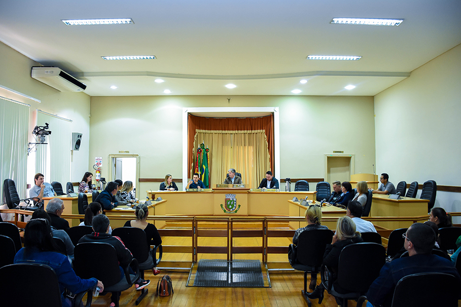 Audiência Pública debate causa dos pequenos animais em Santo Ângelo