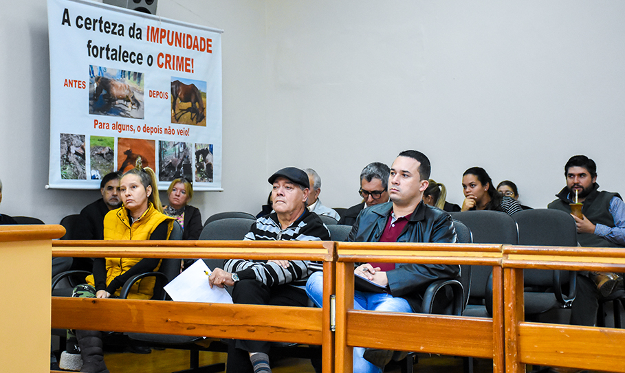 Audiência Pública debate maus tratos a animais em veículos de tração
