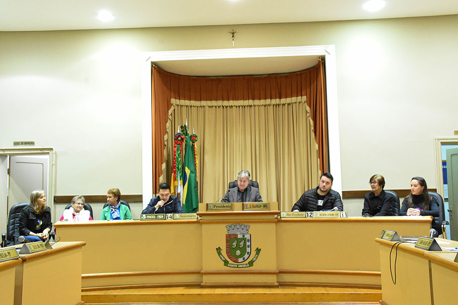 Assistentes sociais são homenageadas no Legislativo de Santo Ângelo