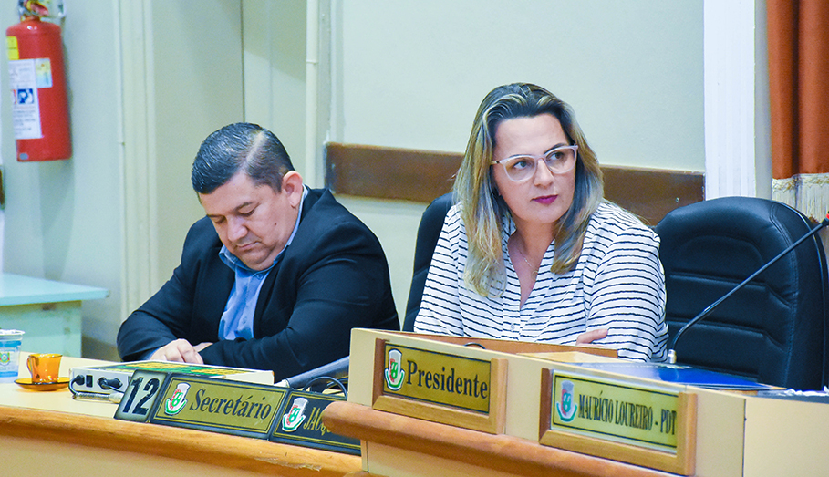 Câmara de Vereadores celebra os 30 anos da Pastoral da Criança