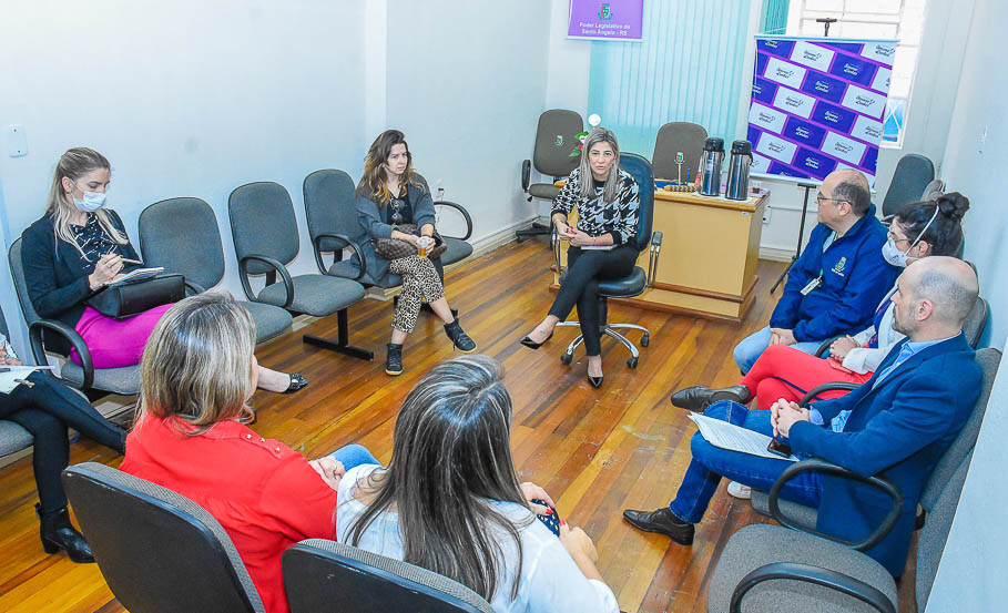 Legislativo recebe profissionais ligados a rede de proteção e atendimento à criança e ao adolescente