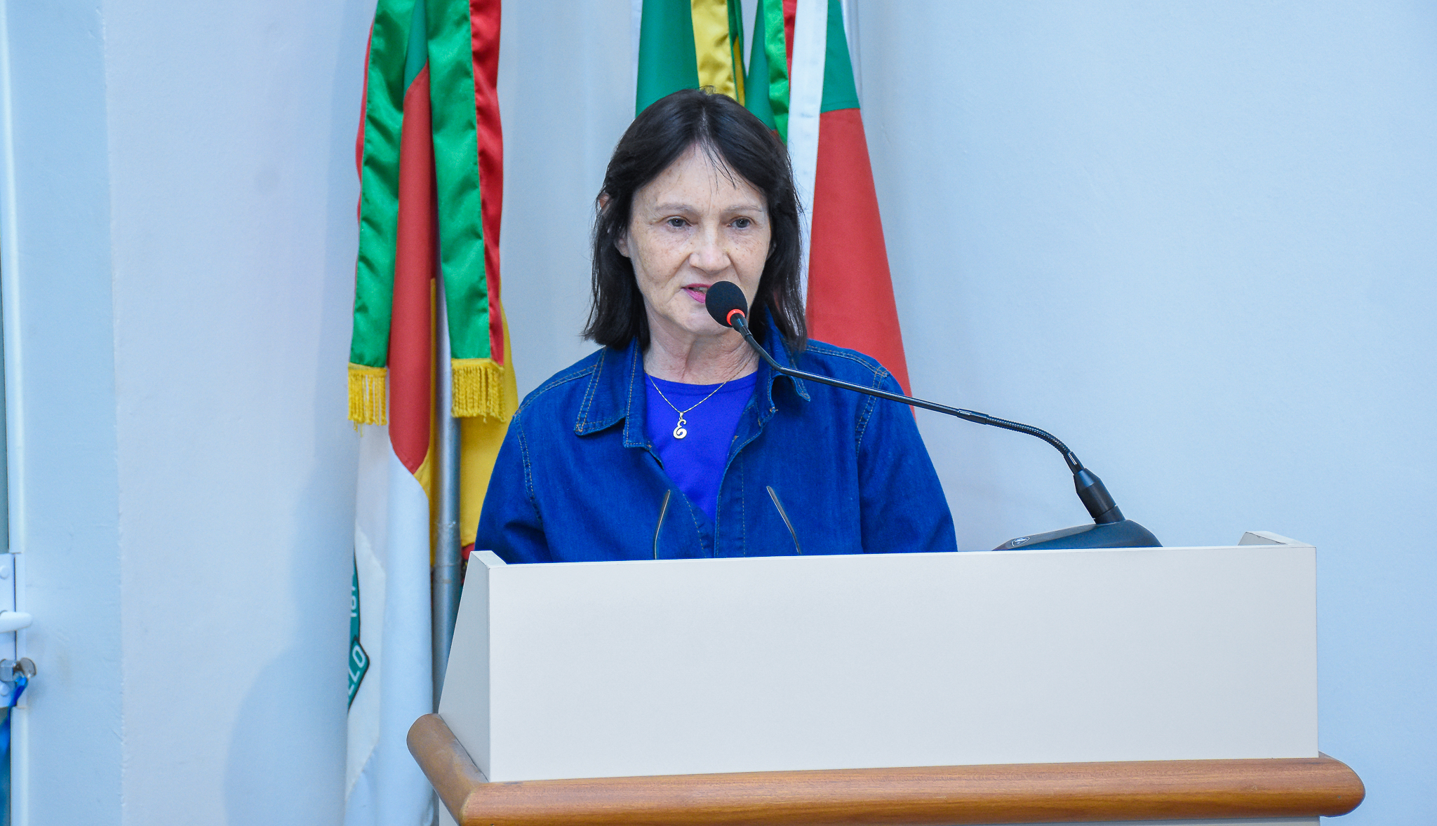  Confira as pautas deliberadas na Sessão Ordinária da última segunda-feira