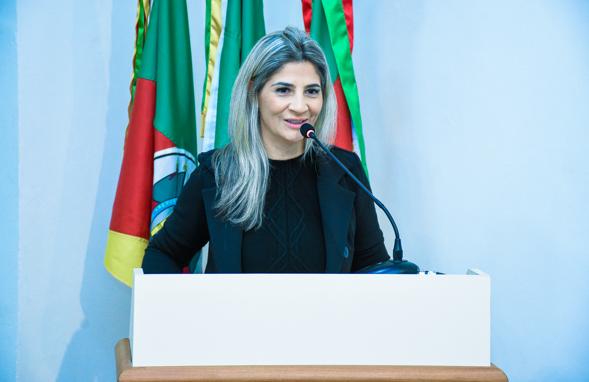 Confira as moções e pedidos de informação colocados em pauta na última segunda-feira
