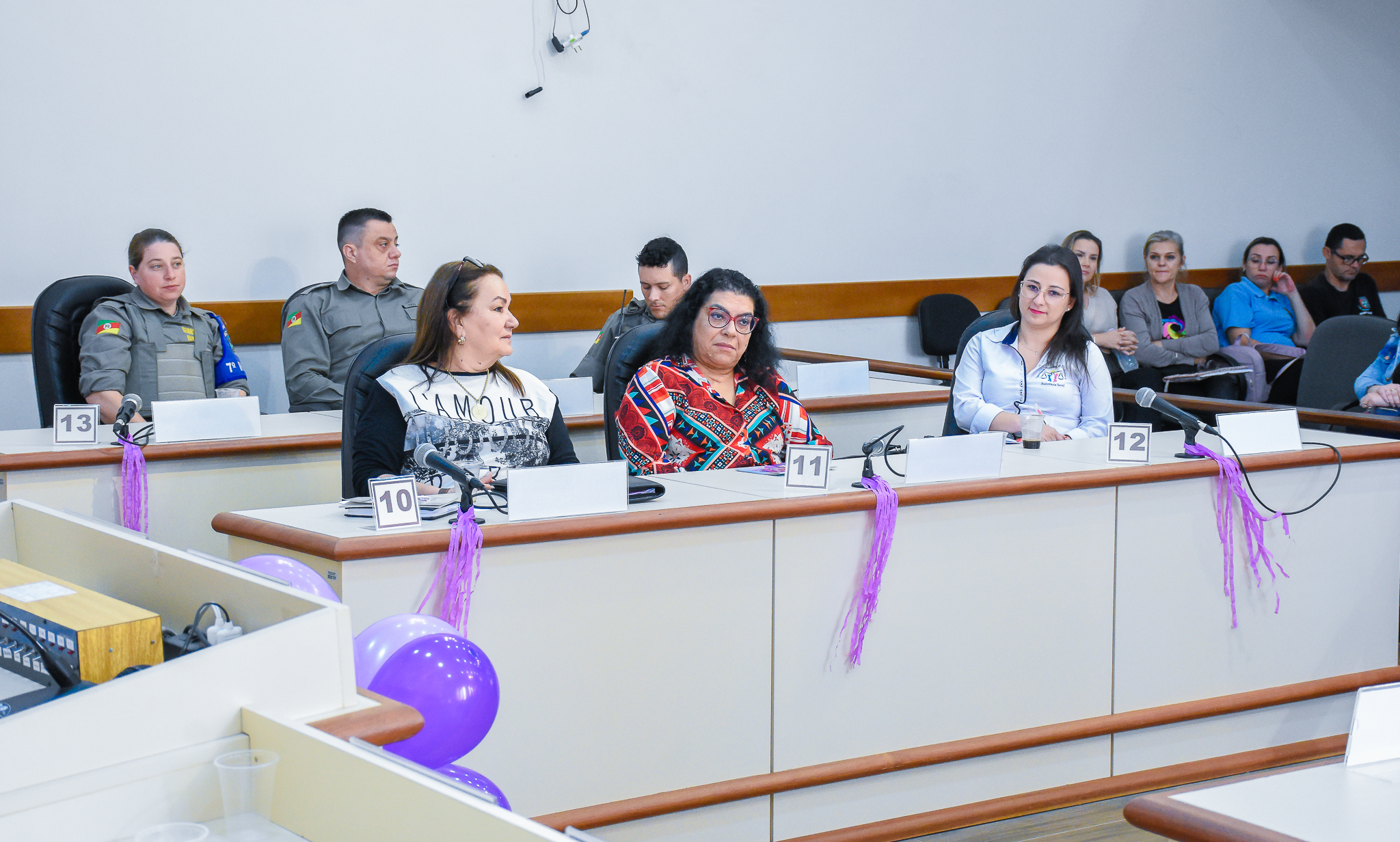Procuradoria da Mulher através do Poder Legislativo realiza seminário sobre a campanha Agosto Lilás