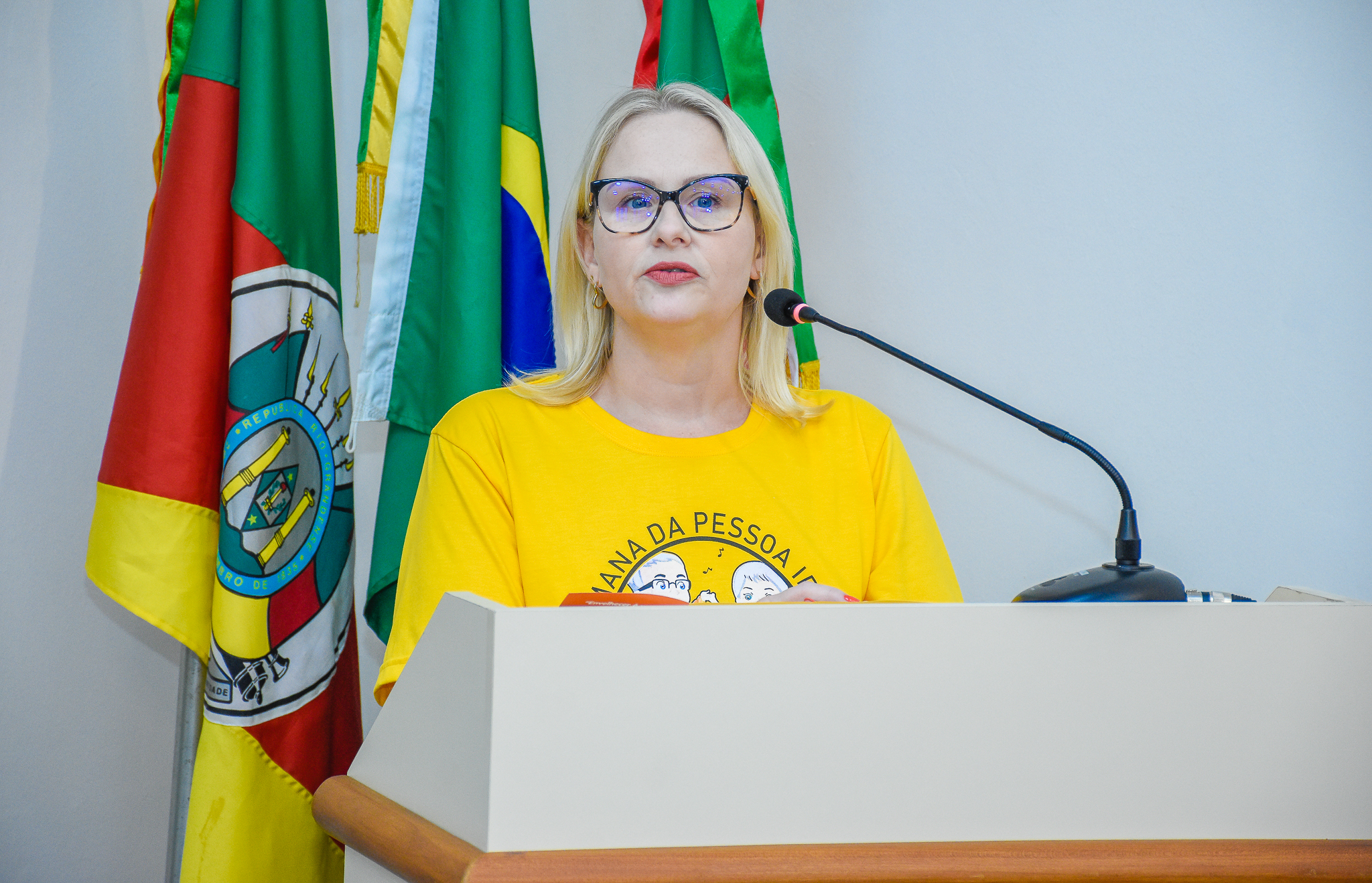 Saiba tudo sobre os Requerimentos colocados em pauta na última segunda-feira