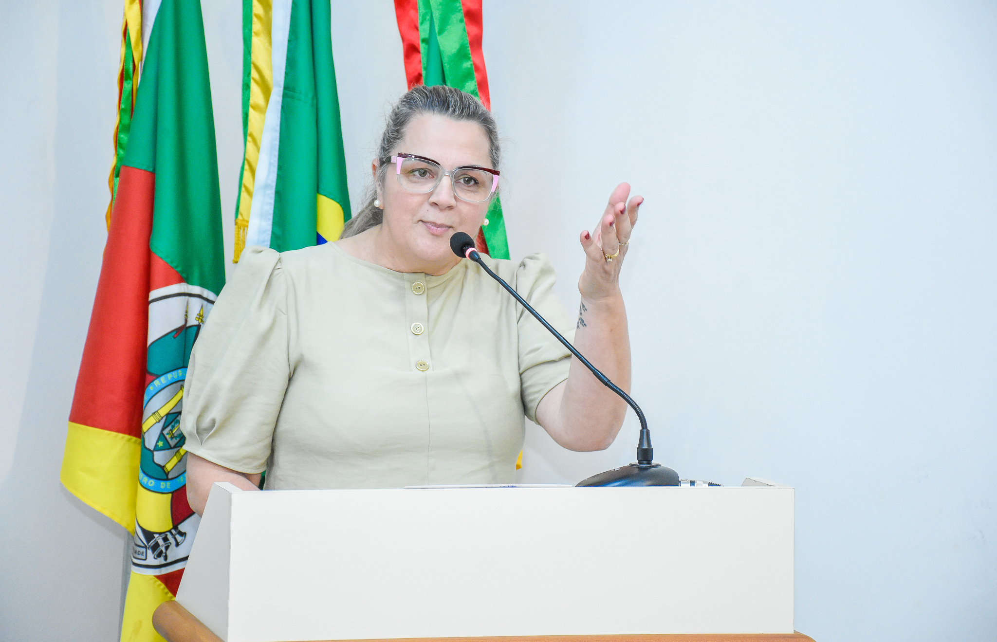 Saiba tudo sobre os Requerimentos colocados em pauta na última segunda-feira