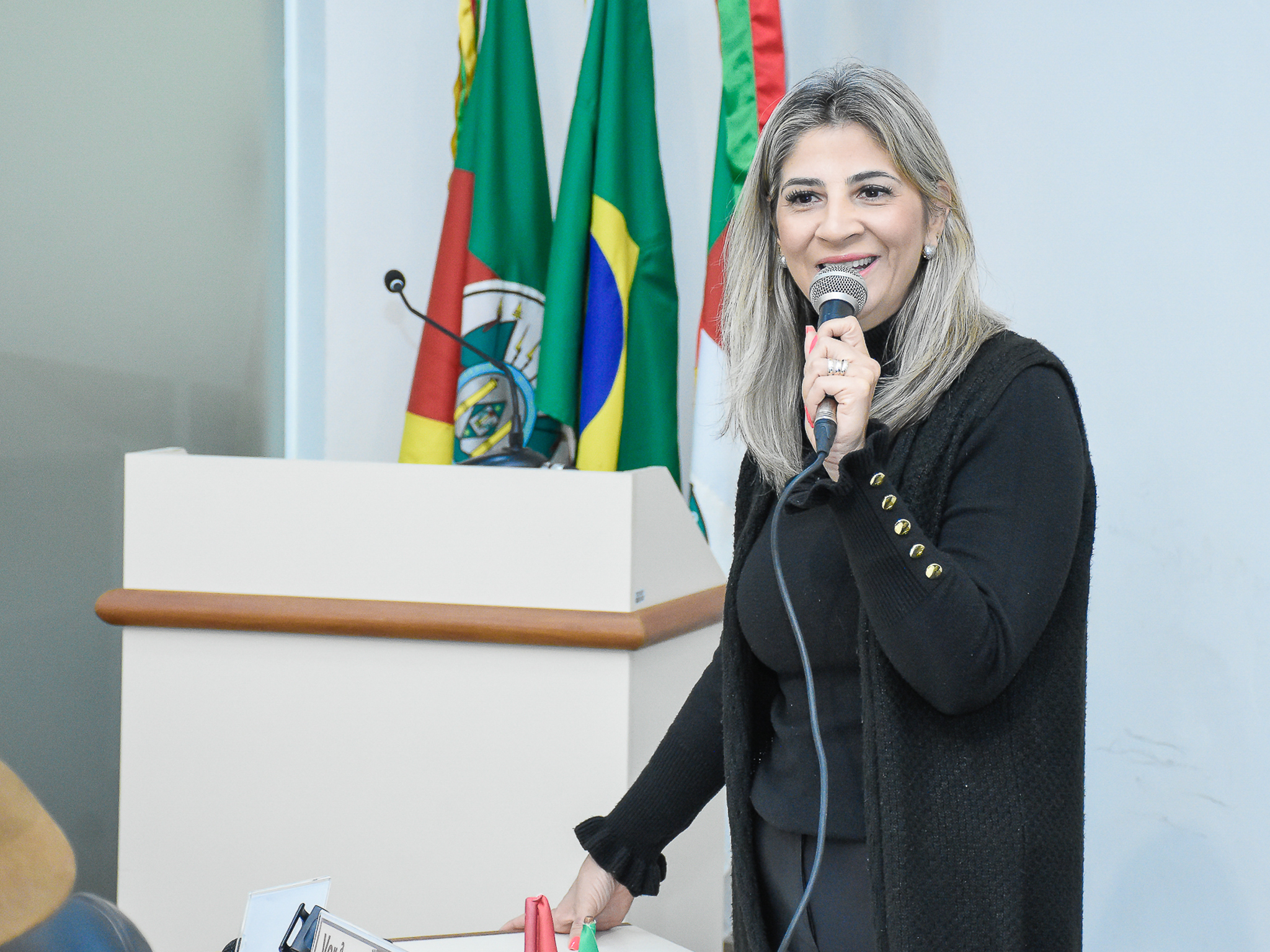 Legislativo realizou Reunião Pública para tratar de assuntos relacionados as estradas do interior