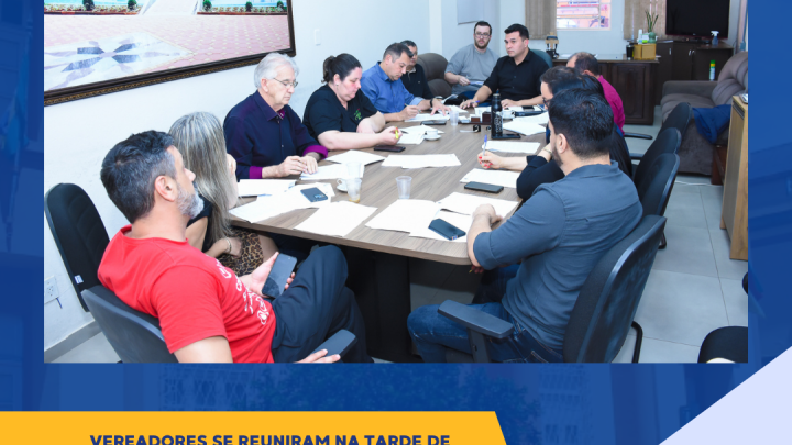 Vereadores discutem projetos e demandas relevantes para a comunidade local