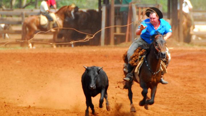 C&acirc;mara divulga lan&ccedil;amento  do 1&deg; Rodeio Crioulo da ASSETRASA 