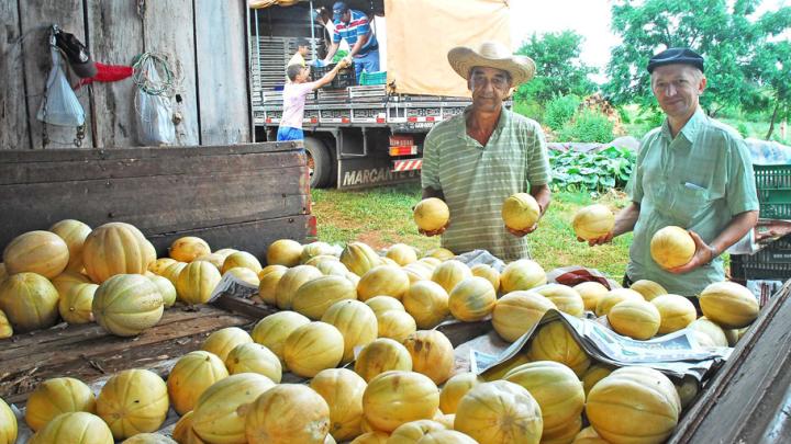 Mel&atilde;o produzido na Ilha Grande ser&aacute; distribu&iacute;do em mais de 60 munic&iacute;pios do Estado